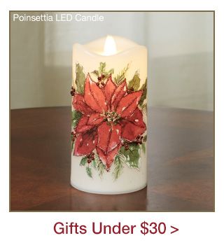 Gifts Under $30