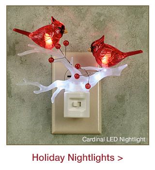Holiday Nightlights