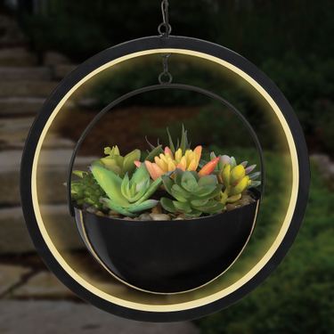 Faux Succulent Solar Orb Lantern BlackImage