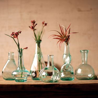 Enya Bottle Bud Vases Clear Set of SixImage