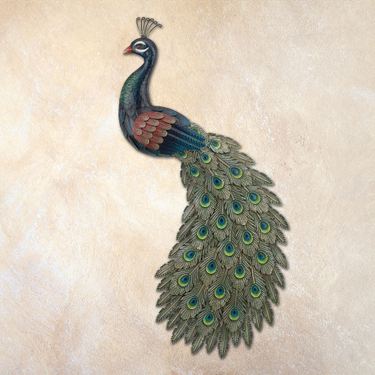 Splendid Peacock Wall Art Multi EarthImage
