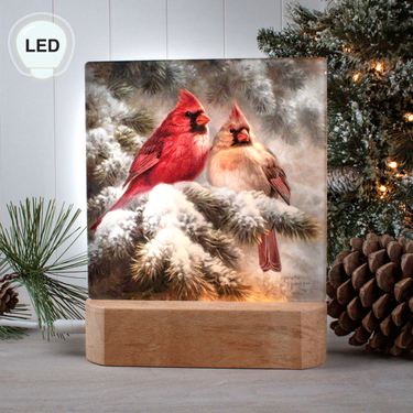 Cardinal Snow Angels LED Tabletop Nightlight Multi WarmImage