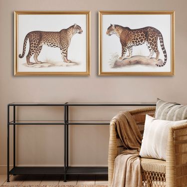 Dueling Cheetahs Framed Pictures Multi Warm Set of TwoImage