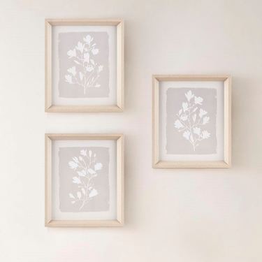 Framed Florets Wall Art Taupe Set of ThreeImage