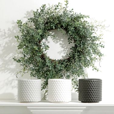 Boxwood Wreath GreenImage