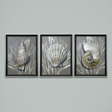 Shell 1 Framed Wall Art GrayImage