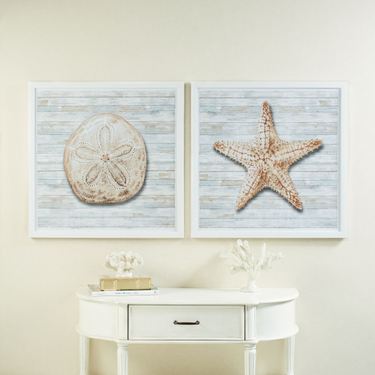 Ocean Treasures Sand Dollar Framed Wall Art WhiteImage