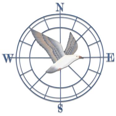 Seagull Compass Wall Art BlueImage