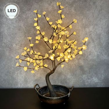 Lighted Bonsai Tree Multi EarthImage