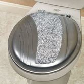 Standard Toilet Seat