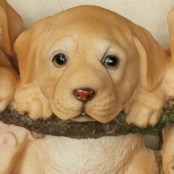 Trio of Labrador Puppies Dog Wall Accent Golden Yellow
