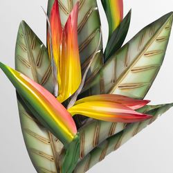 Bird of Paradise Wall Art Green