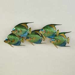 Queen Angelfish School Wall Sculpture Multi Cool