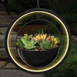 Faux Succulent Solar Orb Lantern Black
