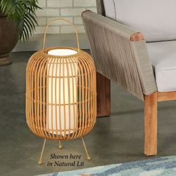 Alberta Outdoor Cordless Lamp Black