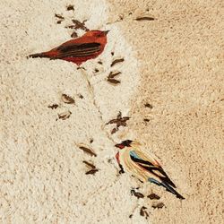 Gilded Bird Bath Rug Runner Multi Warm 2 x 5