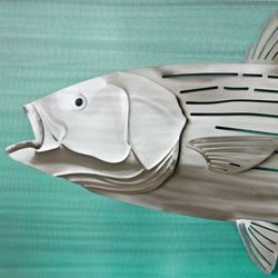 Striped Bass Fish LED Wall Sculpture Silver