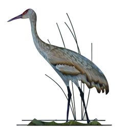 Sandhill Crane Wall Sculpture Multi Metallic