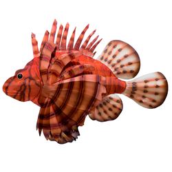 Lionfish Wall Art Multi Bright