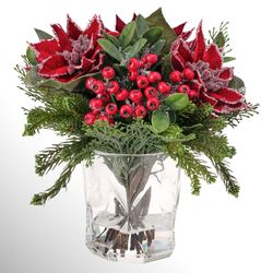 Iced Poinsettia Arrangement Red/Green