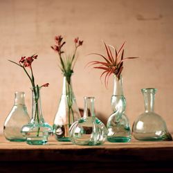 Enya Bottle Bud Vases Clear Set of Six