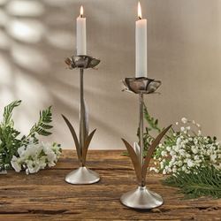 Bloom Taper Candleholders Satin Nickel Set of Two
