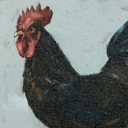 Cluck Kent Rooster Canvas Wall Art Multi Cool