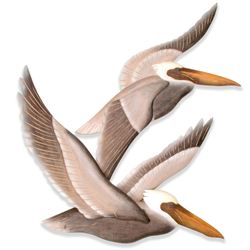 Pelicans in Flight Wall Art Multi Earth