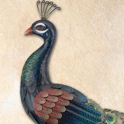 Splendid Peacock Wall Art Multi Earth