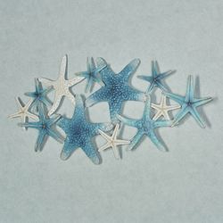 Starfish Cluster Wall Art Blue