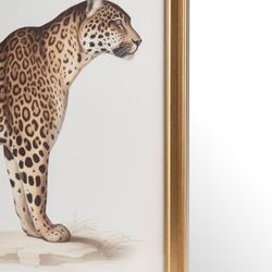 Dueling Cheetahs Framed Pictures Multi Warm Set of Two