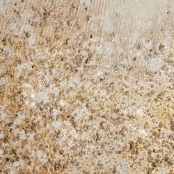 Aura Canvas Wall Art Gold Set of Two