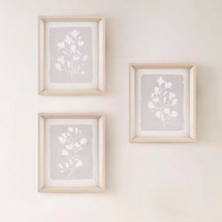 Framed Florets Wall Art Taupe Set of Three