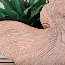 Shell Treasures Nautilus Shell Planter Vase Tan