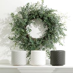Boxwood Wreath Green