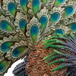 Royal Peacock Sculpture Multi Cool