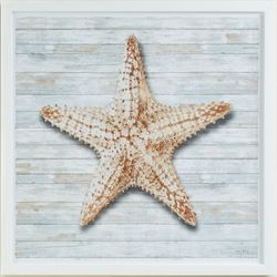 Ocean Treasures Starfish Framed Wall Art White
