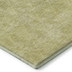 Lovely Gradience Rug Runner 23 x 76