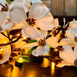 Dogwood Lighted Garland and Converter Set White 1 SET