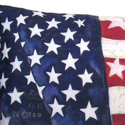 American Flag with Stars Pillow Blue 18 Square