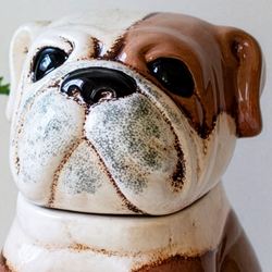 Bulldog Canister Brown