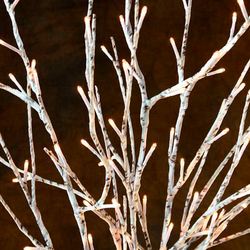 Lighted Birch Branch and Converter Set Multi Earth