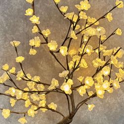 Lighted Bonsai Tree Multi Earth