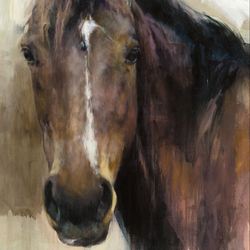 Handsome Horse Canvas Wall Art Brown