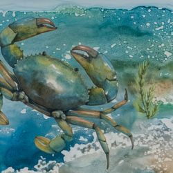 Sea Life Crab Canvas Wall Art Multi Cool