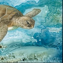 Sea Life Turtle Canvas Wall Art Multi Cool
