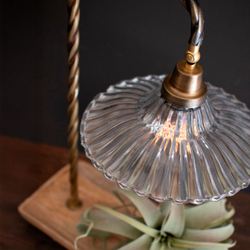 Gooseneck Table Lamp with Tray Antique Brass