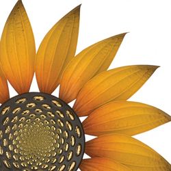 Radiant Sunflower Wind Spinner Multi Earth