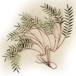 Willow Bend Wall Sculpture