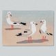 Gulls Sand Coastal Hand Hooked Indoor Outdoor Mats by Liora Manne Thumbnail Image
